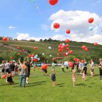 Charity Cup 2015 - 3. Möller manlift Cup